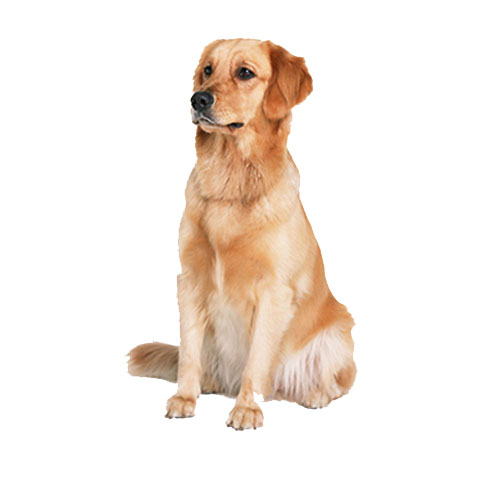 全程照顾喂食喂水