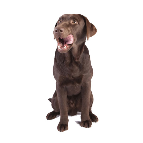 安全抵达收费透明