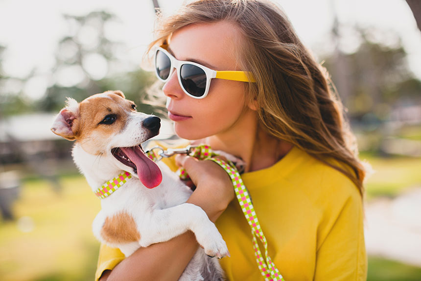 为什么不建议养黑色拉布拉多