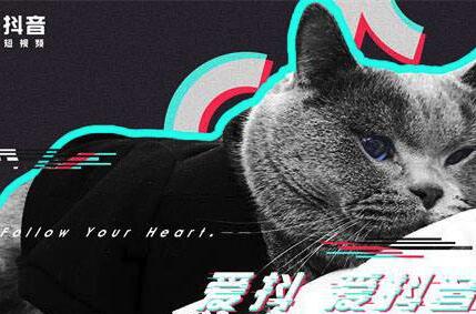 抖音教程各种技术流:要是去做这些事你的抖音号就危险了-第1张图片-小七抖音培训 抖音教程各种技术流:要是去做这些事你的抖音号就危险了-第1张图片-小七抖音培训